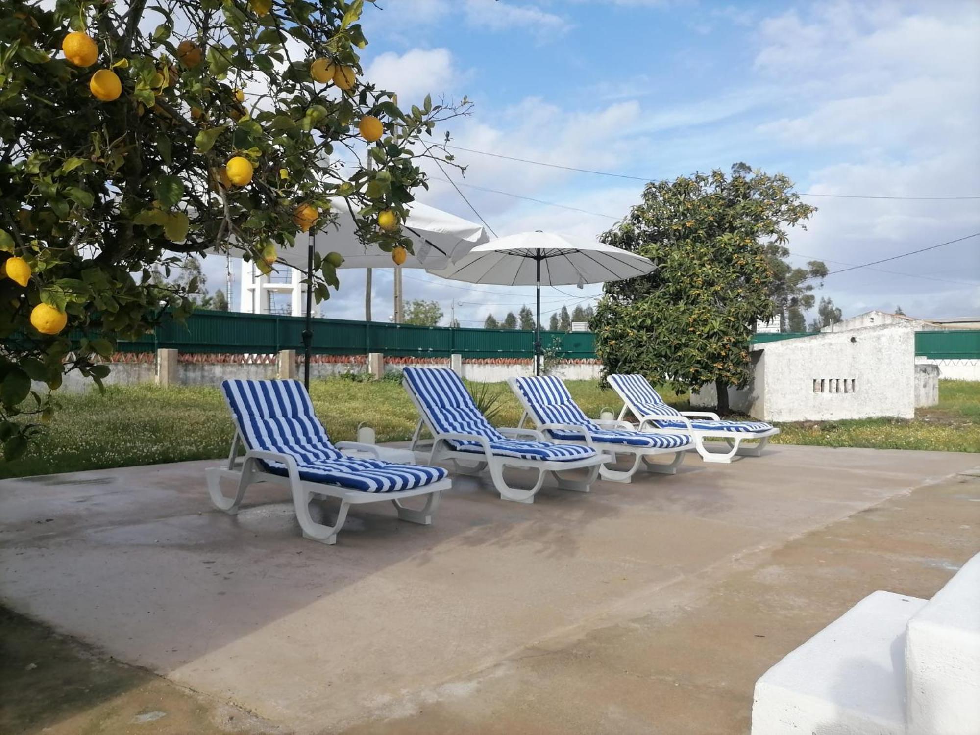 Moradia De Ferias Casa Do Chorao - Holiday home Montargil